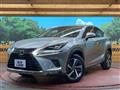 2019 Lexus NX