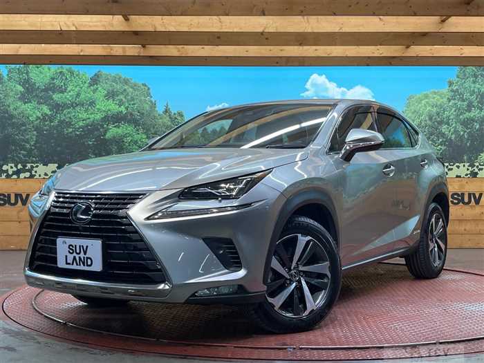 2019 Lexus NX
