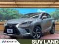 2019 Lexus NX