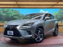 2019 Lexus NX