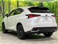 2019 Lexus NX