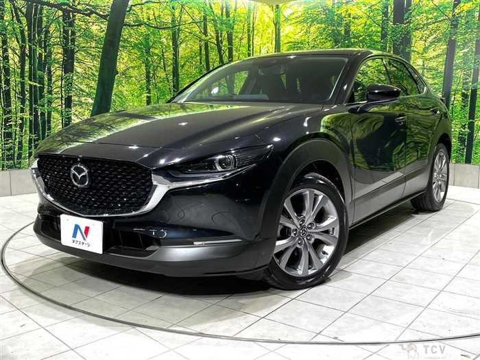 2019 Mazda Mazda Others
