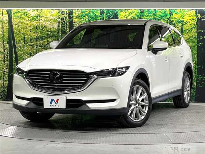 2018 Mazda CX-8
