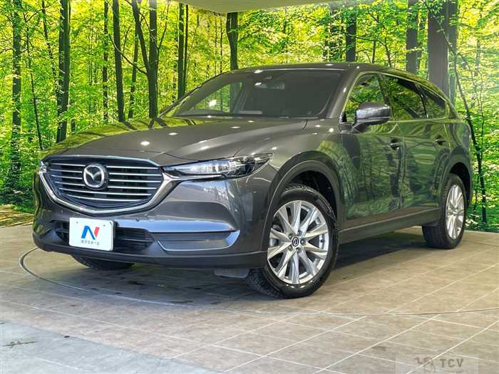 2018 Mazda CX-8