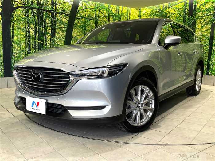 2018 Mazda CX-8