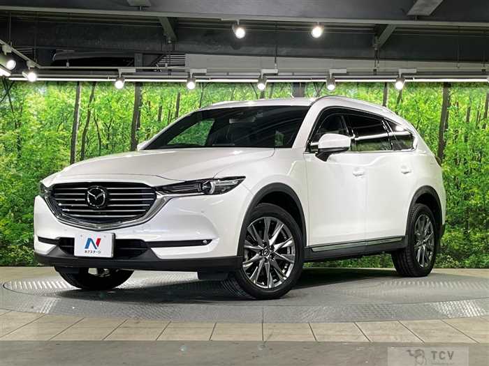 2019 Mazda CX-8