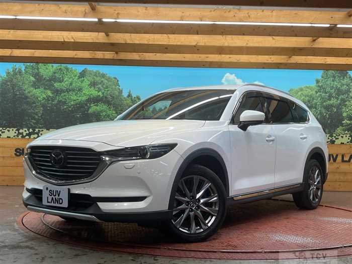 2019 Mazda CX-8
