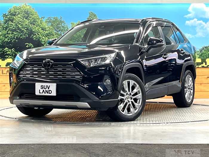 2020 Toyota RAV4