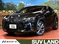 2019 Lexus Other
