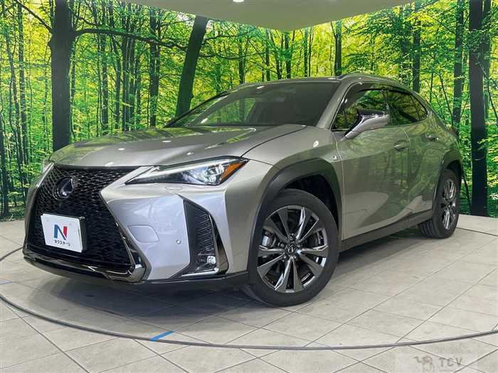 2019 Lexus Other