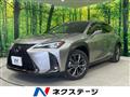 2019 Lexus Other