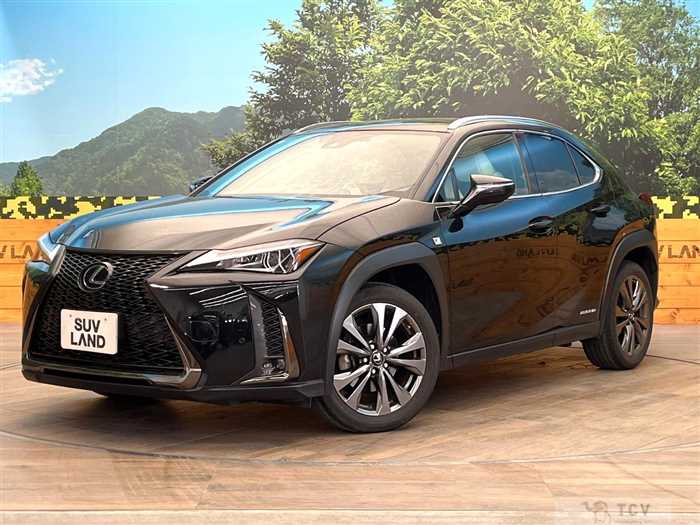 2019 Lexus Other