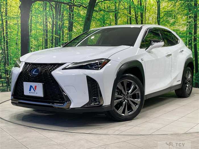 2020 Lexus Other