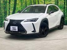 2021 Lexus Other