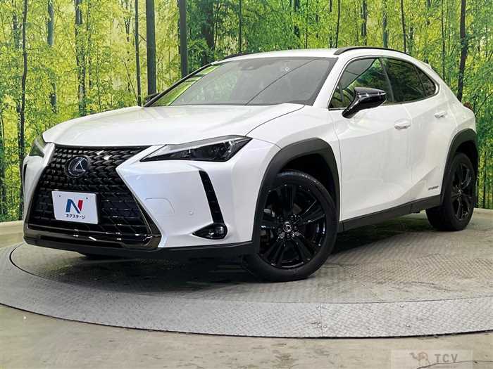 2021 Lexus Other