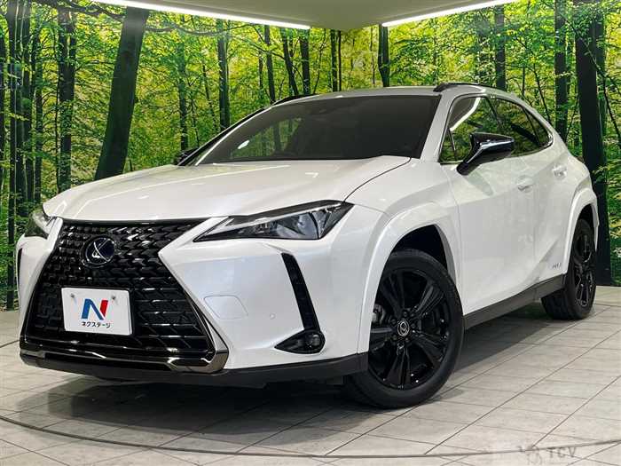 2022 Lexus Other