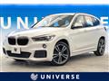 2019 BMW X1