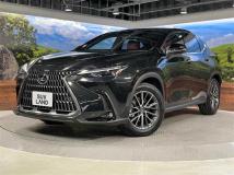 2023 Lexus NX