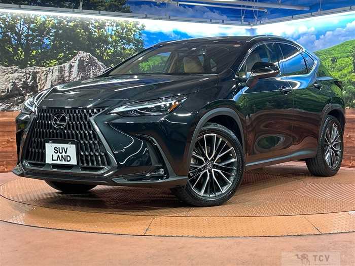 2023 Lexus NX