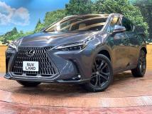 2022 Lexus NX