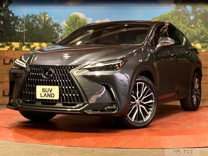 2023 Lexus NX