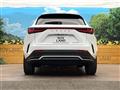 2024 Lexus NX