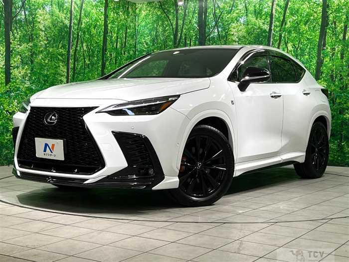 2024 Lexus NX