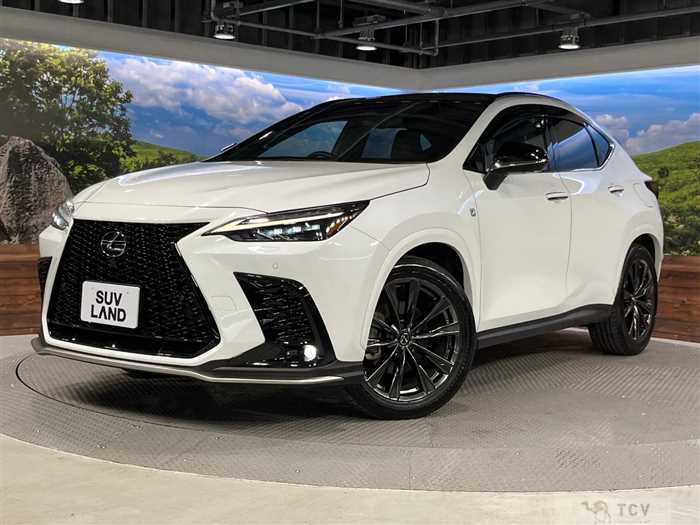 2023 Lexus NX