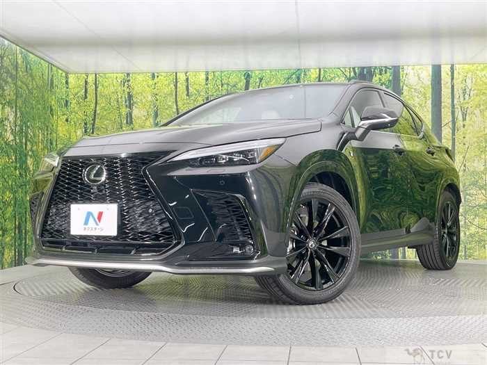 2021 Lexus NX