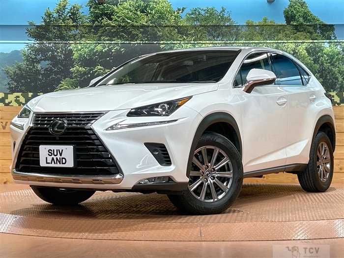 2018 Lexus NX