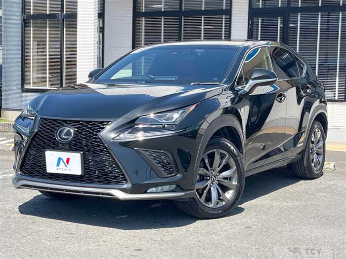 2018 Lexus NX