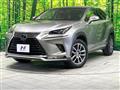2018 Lexus NX