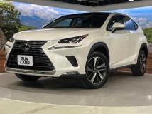 2019 Lexus NX