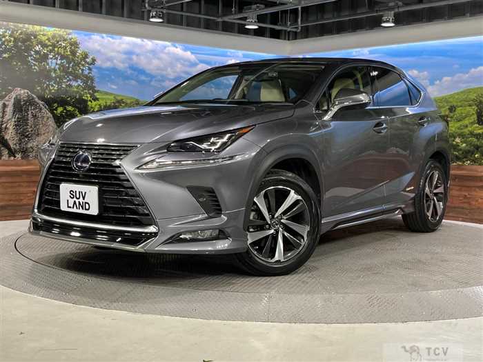 2019 Lexus NX