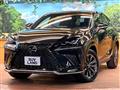 2021 Lexus NX