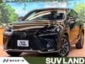 2021 Lexus NX