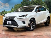 2021 Lexus NX