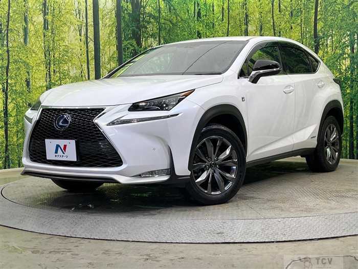 2014 Lexus NX