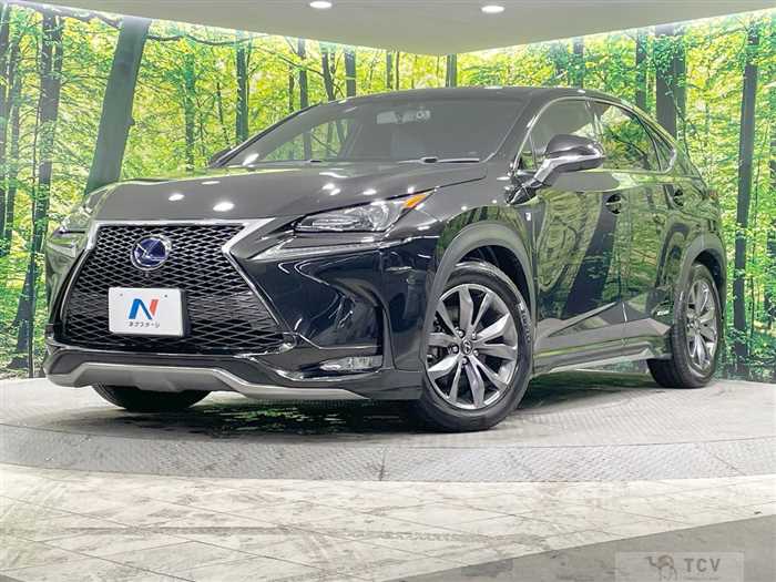 2015 Lexus NX