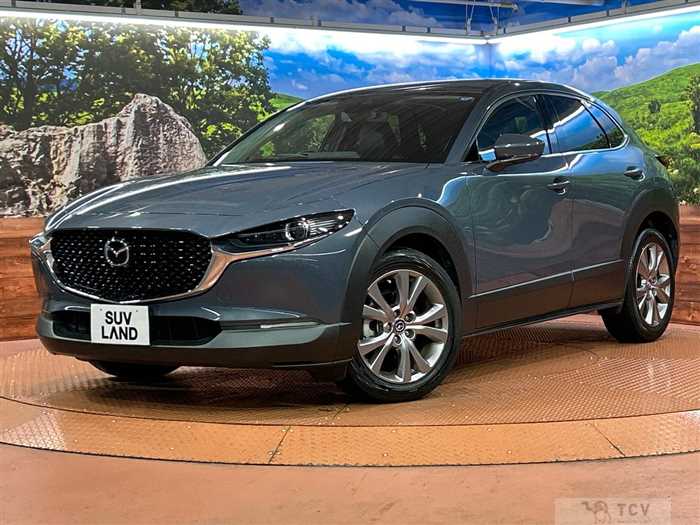 2020 Mazda Mazda Others
