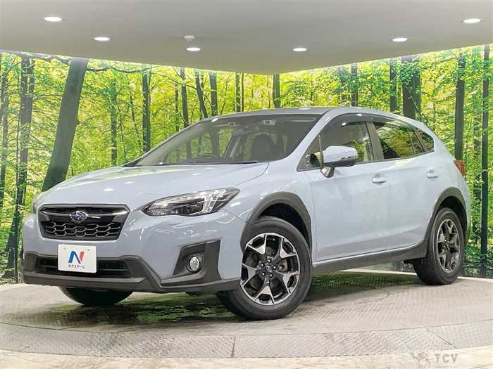 2019 Subaru Subaru Others