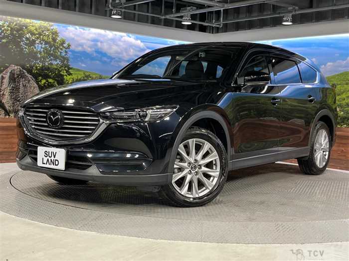2018 Mazda CX-8