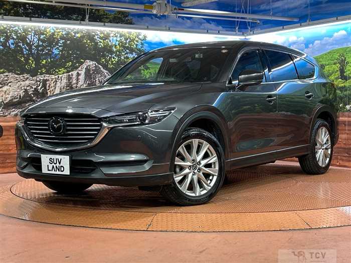 2018 Mazda CX-8