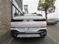 2022 BMW X6