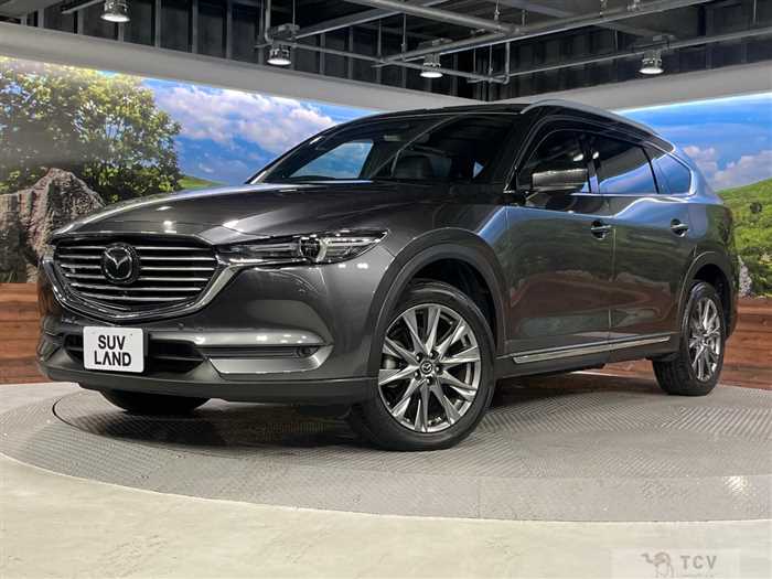 2019 Mazda CX-8