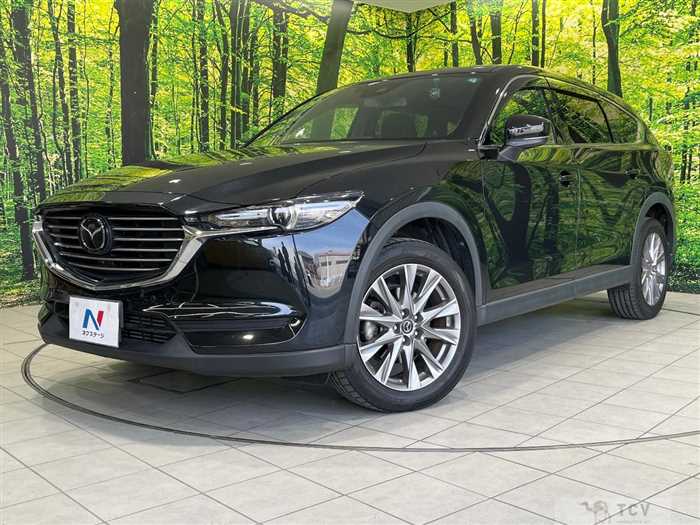 2019 Mazda CX-8