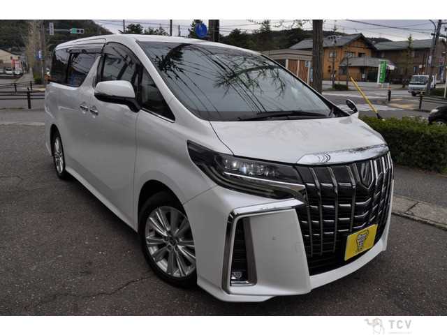 2019 Toyota Alphard G