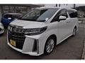 2019 Toyota Alphard G