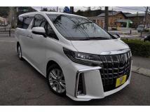 2019 Toyota Alphard G