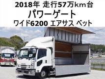 2018 Isuzu Isuzu Others